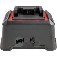 Chargeur de batterie 2,5 Ah et 5,0 Ah, 120 V, Lithium-ion Nuna Depot Inc.