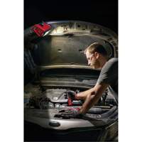 Projecteur d'illumination montable M12 ROVER, DEL, 250 W, 1000 lumens Nuna Depot Inc.