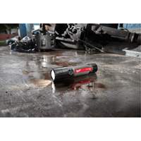Lampe de poche compacte compatible USB, DEL, 800 lumens, Piles Rechargeable Nuna Depot Inc.