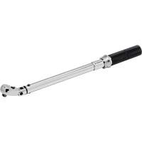 Cl&eacute; dynamom&eacute;trique &agrave; microm&egrave;tre, &agrave; cliquer, Entraînement 1/2" carr&eacute;, 30 - 250 lb-pi/54,2 - 352,6 N,m Nuna Depot Inc.