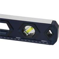 Niveau haute pr&eacute;cision, Boîte, 2' lo, Aluminium, 3, Non magn&eacute;tique Nuna Depot Inc.