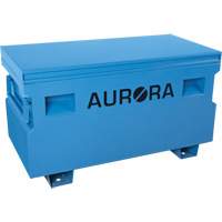 Jobsite Tool Box, 48" x 24" x 27-3/5", Steel, Blue Nuna Depot Inc.