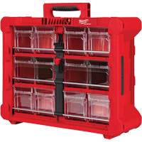 Organisateur PACKOUT &agrave; bac inclinable, 15-1/5" x 19-7/10" x 6-7/10", Noir/Rouge Nuna Depot Inc.