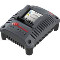 IQV20 Compact Battery Charger, 20 V, Lithium-Ion Nuna Depot Inc.