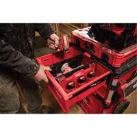 Diviseur pour boîtes &agrave; outils &agrave; tiroirs Packout Nuna Depot Inc.