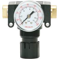 MODULAIR 200 Acetal Piston Regulator, 1/4" NPT, 150 PSI Max. PSI, In Line/Modular Nuna Depot Inc.