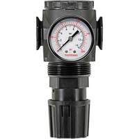 MODULAIR 300 Zinc Diaphragm Regulator, 3/8" NPT, 300 psi Max. PSI, In Line/Modular Nuna Depot Inc.