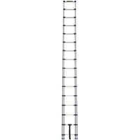 Telescopic Ladder, 3' - 15.5', Aluminum, 250 lbs. Capacity, Type 1 Nuna Depot Inc.