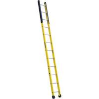 Single Manhole Ladder, 12', Fibreglass, 375 lbs., CSA Grade 1AA Nuna Depot Inc.