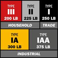 Escabeau avec plateau &agrave; peinture, 10', Aluminium, Capacit&eacute; 225 lb, Type 2 Nuna Depot Inc.