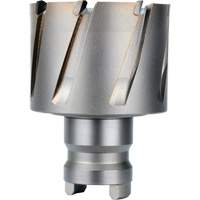 Fraise avec tenon &agrave; changement rapide Drive Hawg, Diam&egrave;tre de 2", Acier, Profondeur de la coupe de 1" Nuna Depot Inc.