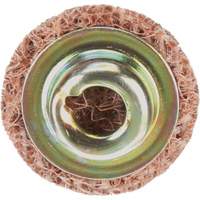 Standard Abrasives Quick-Change Surface Conditioning Disc, 3/4" Dia., Coarse Grit, Aluminum Oxide Nuna Depot Inc.