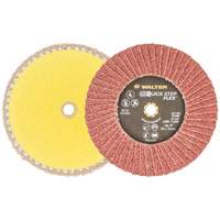 QUICK-STEP FLEX, 5" x Type 29, 40 Grit, Aluminum Oxide Nuna Depot Inc.