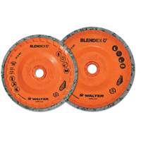 Blendex U Finishing Cup Disc, 4-1/2" Dia., Fine Grit, Silicon Carbide Nuna Depot Inc.