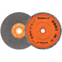 Blendex U Finishing Cup Disc, 5" Dia., Fine Grit, Silicon Carbide Nuna Depot Inc.