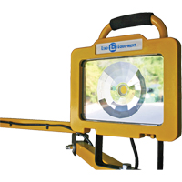 Heavy-Duty Dock Light, 40" Arm, 38 W, LED Lamp, Metal Nuna Depot Inc.