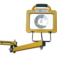 Heavy-Duty Dock Light, 40" Arm, 38 W, LED Lamp, Metal Nuna Depot Inc.