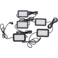 Chaîne de baladeuses DEL, 5 Lumi&egrave;res, 50' lo, Boîtier en Plastique Nuna Depot Inc.