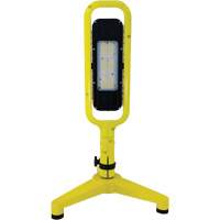Beacon Infinity Light Floor Stand with Magnetic Mount, LED, 40 W, 5400 Lumens, Plastic/Aluminum Housing Nuna Depot Inc.
