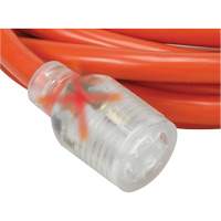 Generator Extension Cord with Quad Tap, Outdoor, 10 AWG, 30 A, 4 Outlet(s), 25' Nuna Depot Inc.