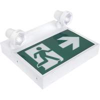 Enseigne d'homme qui court avec &eacute;clairage de s&eacute;curit&eacute;, DEL, &agrave; piles/&agrave; raccordement fixe, 12-1/10" lo x 11" la, Pictogramme Nuna Depot Inc.