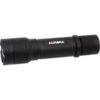 IP67 Flashlight, LED, 2000 Lumens, Rechargeable Batteries Nuna Depot Inc.