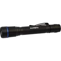 IPX7 Flashlight, LED, 250 Lumens, AA Batteries Nuna Depot Inc.