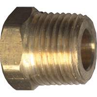 Hex Head Cored Plug, Pipe, 1/8" Dia., Brass Nuna Depot Inc.
